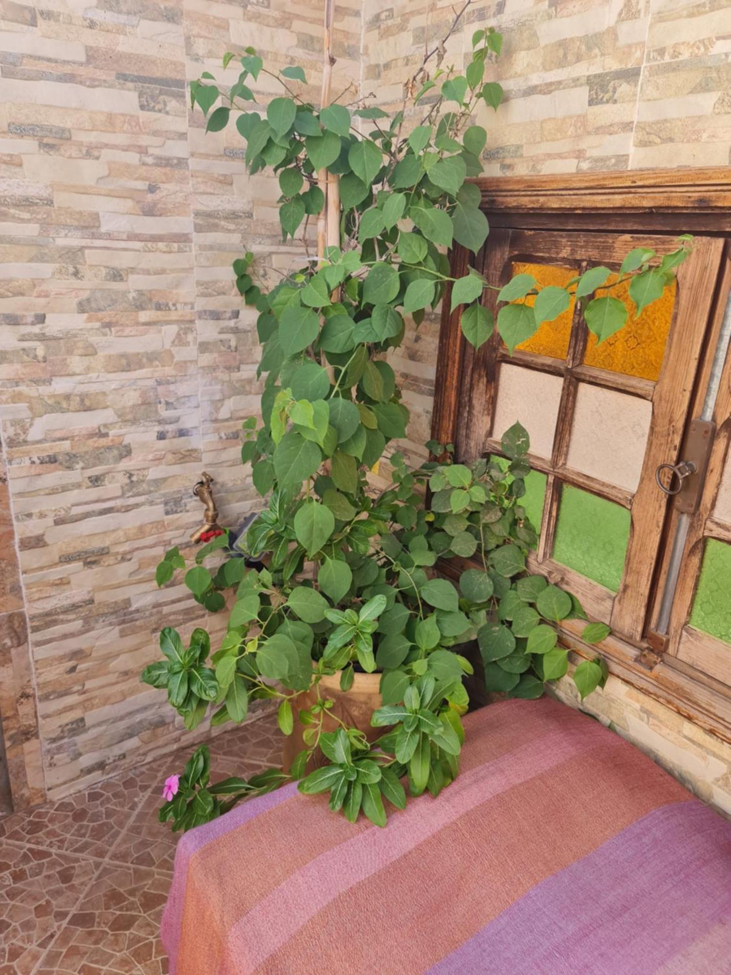 Riad Bab Almadina Marrakesh Eksteriør bilde
